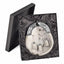Sporran Presentation Box - Full Dress