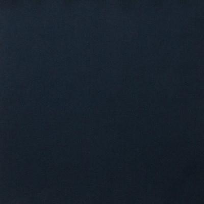 Blue Modern Plain