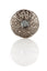 Jewel Thistle Plaid Brooch In Antique Finish With Black Stone