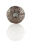 Jewel Thistle Plaid Brooch In Black Chrome Finish With Black Stone