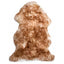 Coloured Sheepskin Rug - Natural Tipped - Medium