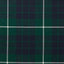 Hamilton Green Modern
