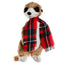Plush Meerkat with Tartan Scarf Small in 500 Tartans - Made to Order