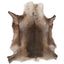 Reindeer Skin - One Size