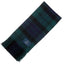 Clan Tartan Scarf - MacKay Modern