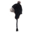Stylish Cable Knitted Trapper Hat in Black