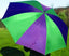 30" Golf Umbrella - Green/Purple